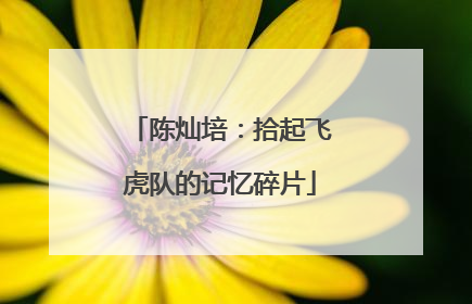 陈灿培：拾起飞虎队的记忆碎片