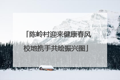 陈岭村迎来健康春风 校地携手共绘振兴图