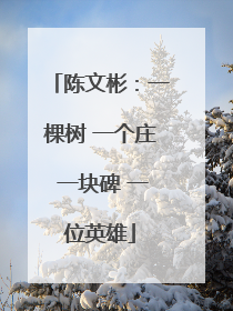 陈文彬：一棵树 一个庄 一块碑 一位英雄