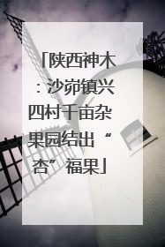 陕西神木：沙峁镇兴四村千亩杂果园结出“杏”福果