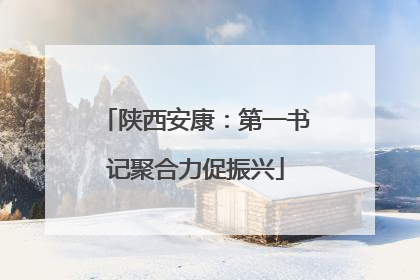 陕西安康：第一书记聚合力促振兴