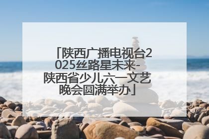 陕西广播电视台2025丝路星未来-陕西省少儿六一文艺晚会圆满举办