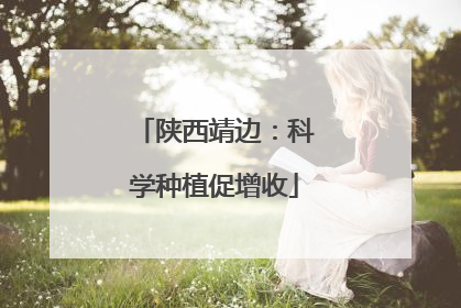 陕西靖边：科学种植促增收