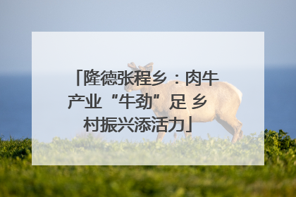 隆德张程乡：肉牛产业“牛劲”足 乡村振兴添活力