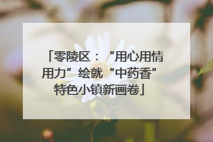 零陵区：“用心用情用力”绘就“中药香”特色小镇新画卷
