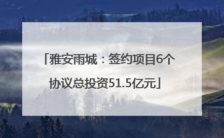 雅安雨城：签约项目6个 协议总投资51.5亿元