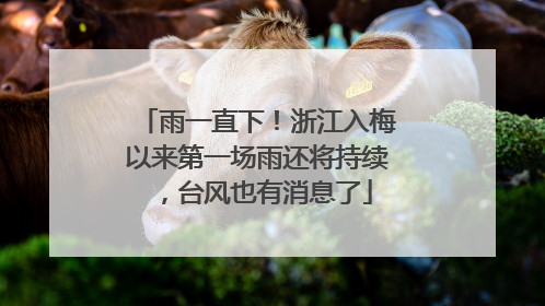 雨一直下！浙江入梅以来第一场雨还将持续，台风也有消息了