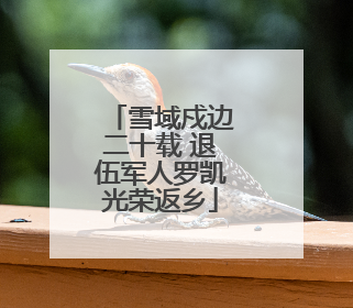 雪域戍边二十载 退伍军人罗凯光荣返乡