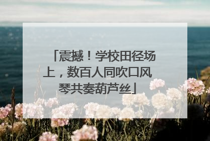 震撼！学校田径场上，数百人同吹口风琴共奏葫芦丝
