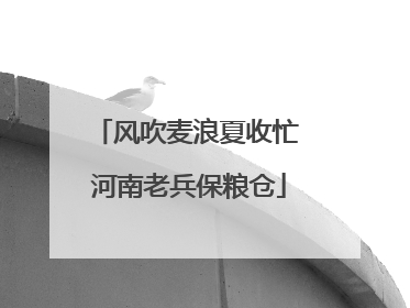 风吹麦浪夏收忙 河南老兵保粮仓