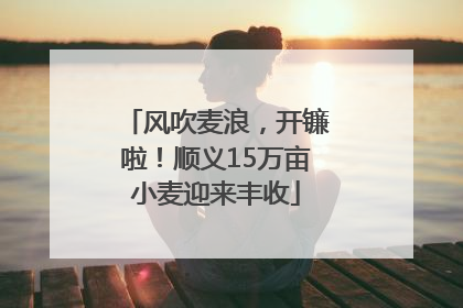 风吹麦浪，开镰啦！顺义15万亩小麦迎来丰收