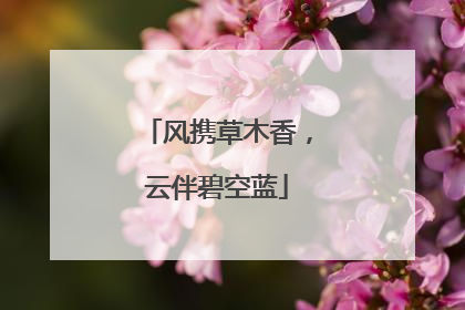 风携草木香，云伴碧空蓝