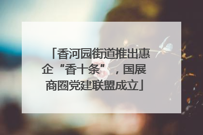 香河园街道推出惠企“香十条”，国展商圈党建联盟成立