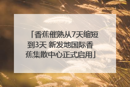 香蕉催熟从7天缩短到3天 新发地国际香蕉集散中心正式启用