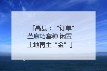 高县：“订单”苎麻巧套种 闲置土地再生“金”