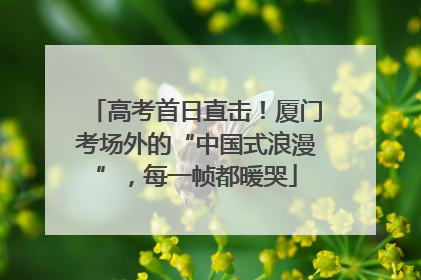 高考首日直击！厦门考场外的“中国式浪漫”，每一帧都暖哭