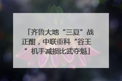 齐鲁大地“三夏”战正酣，中联重科“谷王”机手减损比武夺魁