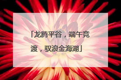 龙腾平谷，端午竞渡，驭浪金海湖