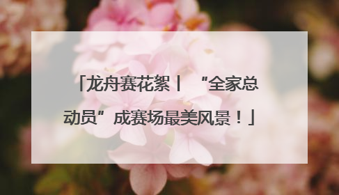 龙舟赛花絮丨 “全家总动员”成赛场最美风景！