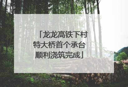 龙龙高铁下村特大桥首个承台顺利浇筑完成