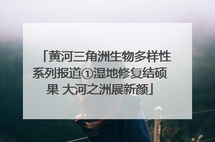 黄河三角洲生物多样性系列报道①湿地修复结硕果 大河之洲展新颜