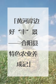 黄河岸边好“丰”景——合阳县特色农业养成记