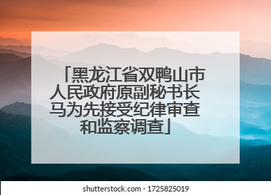 黑龙江省双鸭山市人民政府原副秘书长马为先接受纪律审查和监察调查