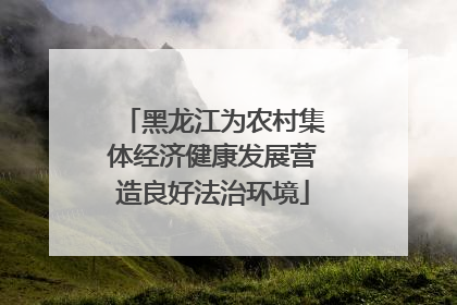 黑龙江为农村集体经济健康发展营造良好法治环境