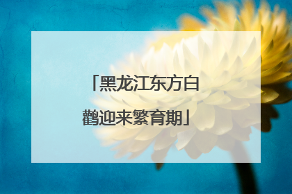 黑龙江东方白鹳迎来繁育期