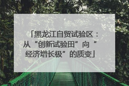 黑龙江自贸试验区：从“创新试验田”向“经济增长极”的质变