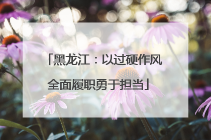黑龙江：以过硬作风全面履职勇于担当