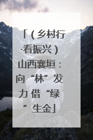 （乡村行·看振兴）山西襄垣：向“林”发力 借“绿”生金