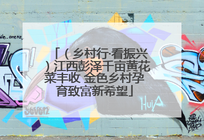 （乡村行·看振兴）江西彭泽千亩黄花菜丰收 金色乡村孕育致富新希望