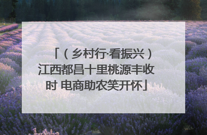 （乡村行·看振兴）江西都昌十里桃源丰收时 电商助农笑开怀