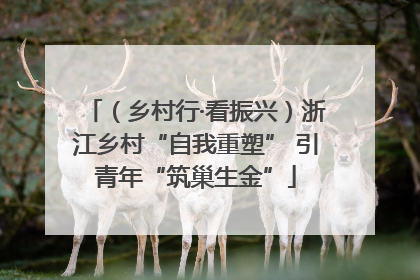 （乡村行·看振兴）浙江乡村“自我重塑” 引青年“筑巢生金”