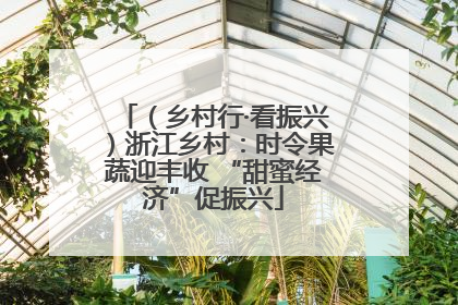 （乡村行·看振兴）浙江乡村：时令果蔬迎丰收 “甜蜜经济”促振兴