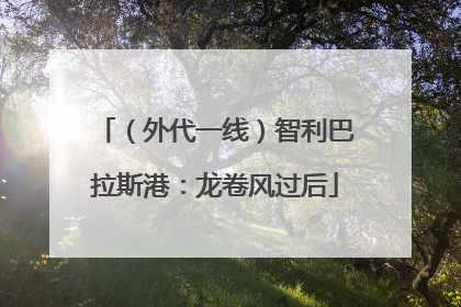 （外代一线）智利巴拉斯港：龙卷风过后