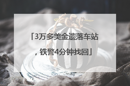3万多美金遗落车站，铁警4分钟找回