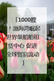 1000艘！渤海湾崛起世界级船舶租赁中心 促进全球贸易流动