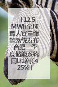 12.5MWh全球最大容量储能系统发布 合肥一季度储能系统同比增长425%