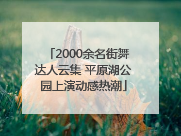2000余名街舞达人云集 平原湖公园上演动感热潮