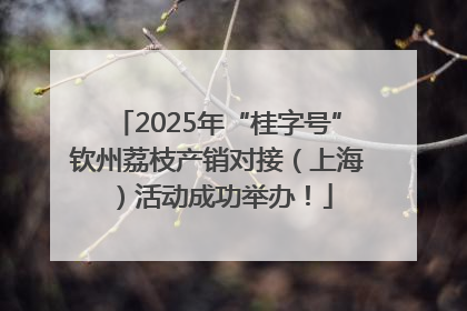 2025年“桂字号”钦州荔枝产销对接（上海）活动成功举办！