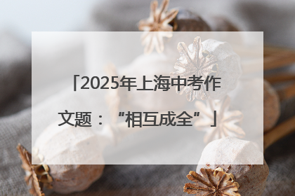 2025年上海中考作文题：“相互成全”