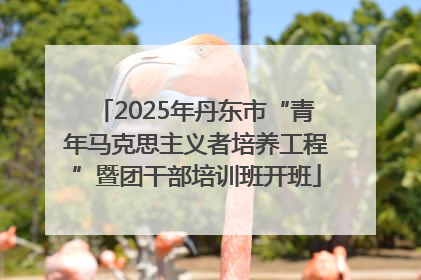 2025年丹东市“青年马克思主义者培养工程”暨团干部培训班开班