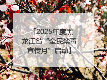 2025年度黑龙江省“全民禁毒宣传月”启动
