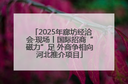 2025年廊坊经洽会·现场丨国际招商“磁力”足 外商争相向河北推介项目