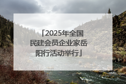 2025年全国民建会员企业家岳阳行活动举行
