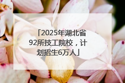 2025年湖北省92所技工院校，计划招生6万人