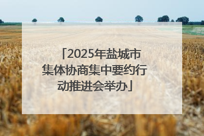 2025年盐城市集体协商集中要约行动推进会举办