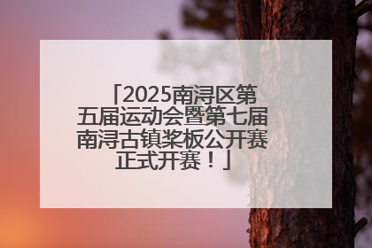 2025南浔区第五届运动会暨第七届南浔古镇桨板公开赛正式开赛！